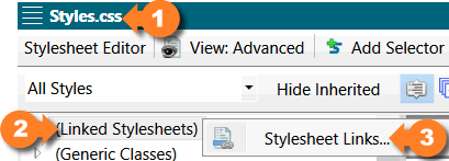 Linking CSS within Flare