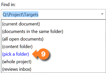 Flare Find and Replace find in options